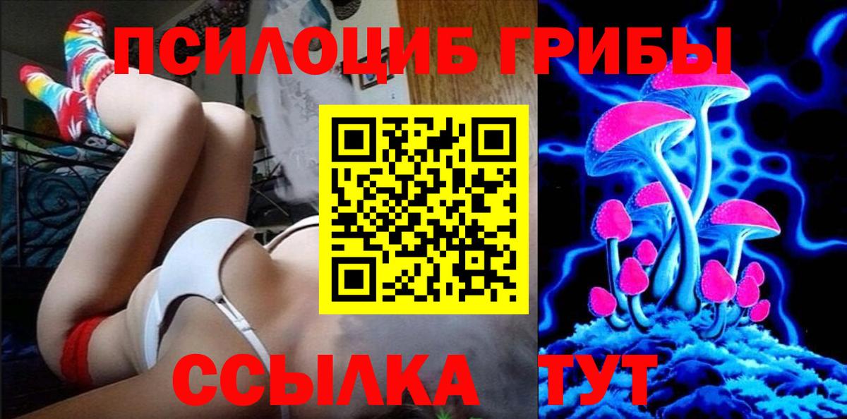 Наро-Фоминск  Псилоцибиновые грибы Psilocybe  Вход с VPN  Галлюциногенные грибы Magic Shrooms 